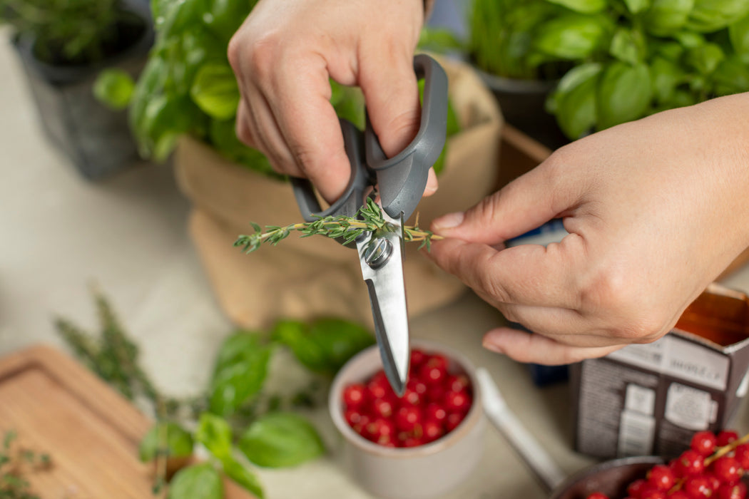 Kitchen Shears Compact
