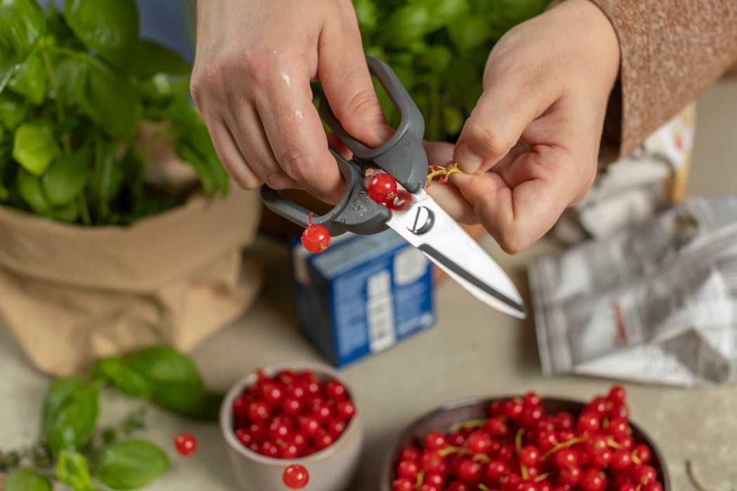 Kitchen Shears Compact
