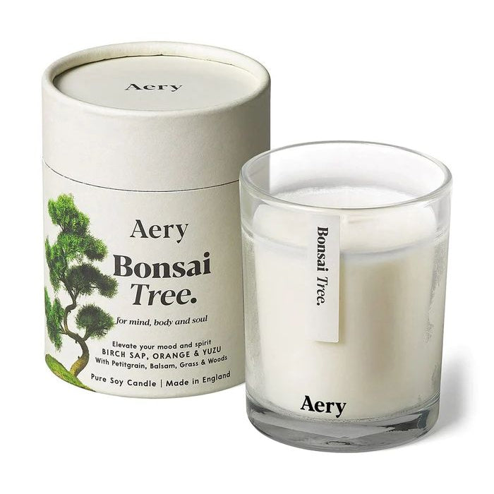 Bonsai Tree Scented Candle - Birch Sap Orange and Yuzu