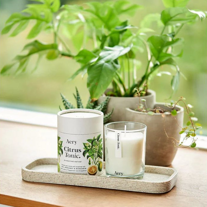 Citrus Tonic Scented Candle - Lime Bergamot and Mandarin