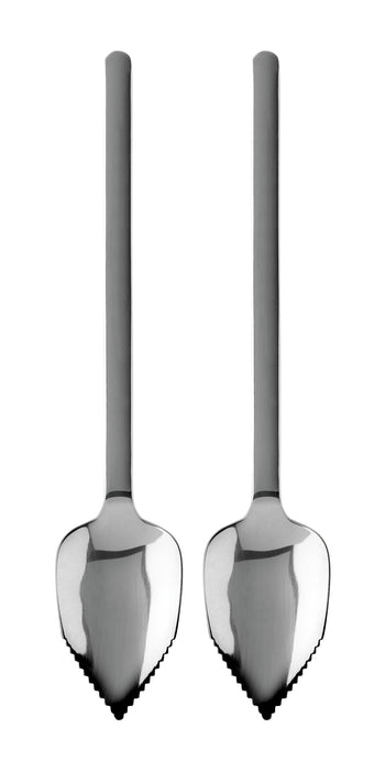 Grapefruit spoons (set of 2)
